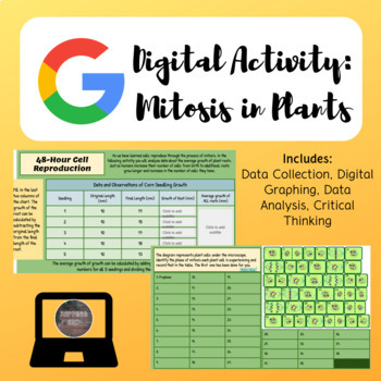 Preview of Mitosis in Plants Digital Activity | Google Slides