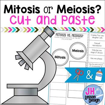 Preview of Mitosis or Meiosis? Cut and Paste Sorting Activity