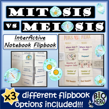 Preview of Mitosis vs Meiosis Flipbook/foldable
