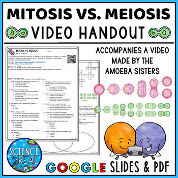 Preview of Mitosis vs. Meiosis Amoeba Sisters Video Handout