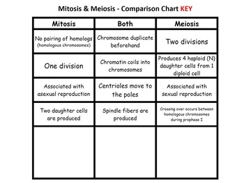 Mitosis vs. Meiosis - Card Sort by Amanda Leslie | TpT