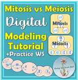 Mitosis vs Meiosis Digital Comparison Activity and bonus P