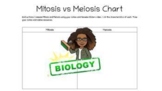 Mitosis vs Meiosis Chart & KEY