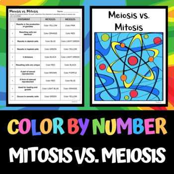 Preview of Mitosis vs. Meiosis - Color by Number