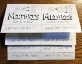 Mitosis vs. Meiosis Colorable Flipbook