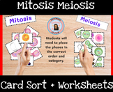 Mitosis Meiosis Card Sort Principles of Biomedical Science