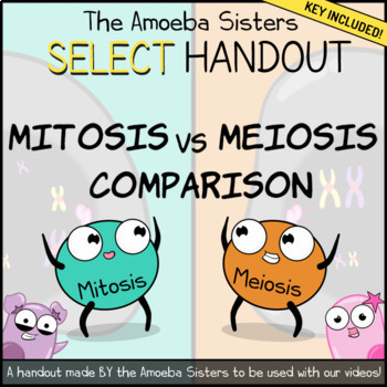 Mitosis vs. Meiosis Comparison- SELECT Recap + Answer Key by Amoeba Sisters