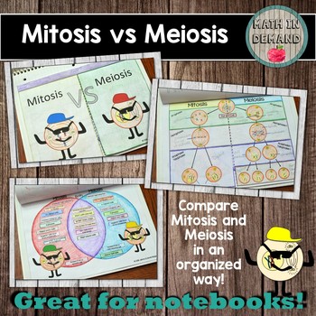 meiosis comic strip