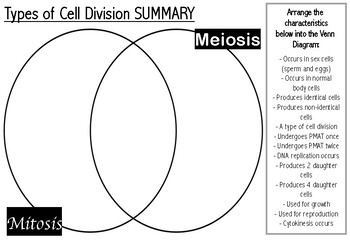 Preview of Mitosis vs. Meiosis Graphic Organiser