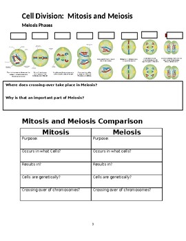Mitosis vs. Meiosis PowerPoint Notes by Science and Biology Resources