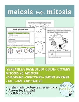 Comparing Mitosis And Meiosis Worksheet Answers Pdf