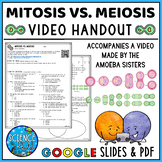 Mitosis vs. Meiosis Video Handout for Video Made by the Amoeba Sisters