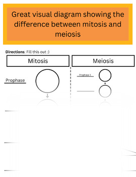 Preview of Mitosis vs. Meiosis visual aid for students
