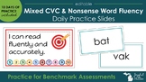 Mixed CVC Nonsense & Real Word Fluency - Daily Practice Go