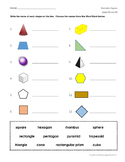 Mixed Geometric Shapes worksheet - 2D and 3D shapes