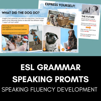 Preview of Mixed Grammar ESL Speaking Prompts