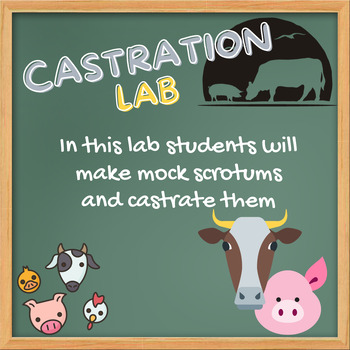 Preview of Mock Scrotum/Castration Lab