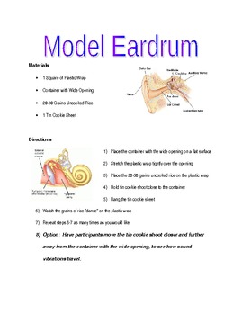 Preview of Model Eardrum - Individual 5 Senses Lab