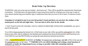 Preview of Model Functional Regions of the Brain using Swim Caps- Common Core and NGSS