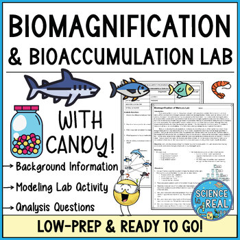 Preview of Modeling Biomagnification and Bioaccumulation of Mercury Lab Activity