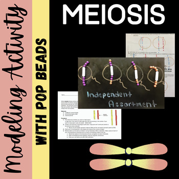 Preview of Modeling Meiosis Activity