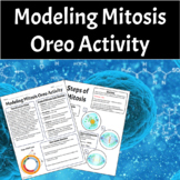 Modeling Mitosis Oreo Activity