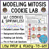 Modeling Mitosis with Cookies - Mitosis Lab Activity