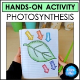 Modeling Photosynthesis Hands-on Activity ⭐ Interactive Sc