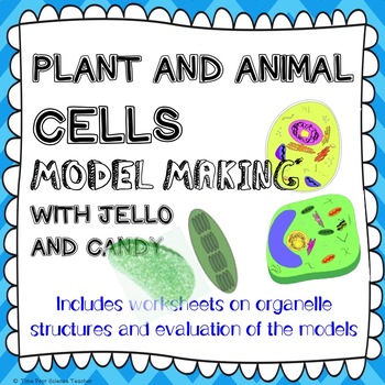 Cell Organelles Plant Animal Structure And Function Lab Activity Worksheet
