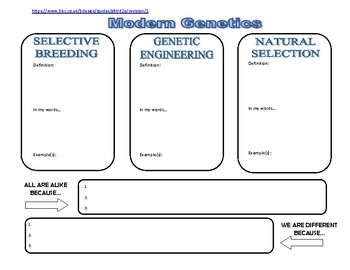 Preview of Modern Genetics Compare & Contrast Map