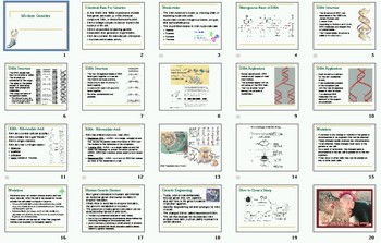 Preview of Modern Genetics Smartboard Notebook Presentation Lesson Plan