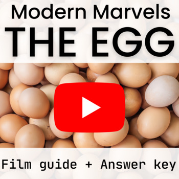 Preview of Modern Marvels The Egg Film Guide Video Worksheet With Key Food Science Sub Plan