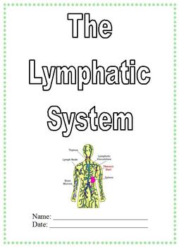 Preview of Modified Anatomy Notes & Test; Lymphatic System Unit, Differentiated Special Ed