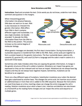 Notes & Reading Comprehension: Gene Mutations and RNA | TPT