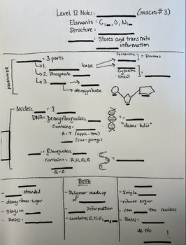 Preview of Modified Nucleic Acid (Macromolecule) PowerNotes