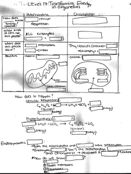 Preview of Modified Overview Photosynthesis & Cellular Respiration PowerNotes