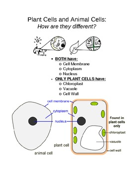 Preview of Modified Unit : Plant Cells vs. Animal Cells