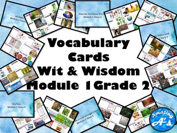 Preview of Module 1 Grade 2 Vocabulary Cards Wit & Wisdom