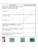 Module 2 Unit 2 Lesson 1: Modified Assignment