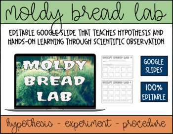 Preview of Moldy Bread Experiment | Bacteria Lab
