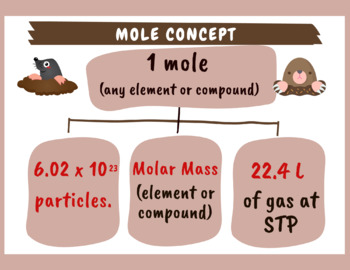 Preview of Mole Concept Graphic Organizer and Anchor Charts