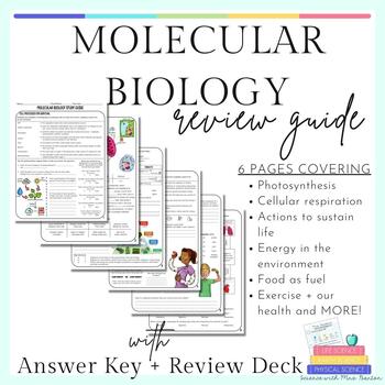 Preview of Molecular Biology Study Guide Review with Answer Key