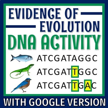 Preview of Molecular DNA Evidence of Evolution Activity