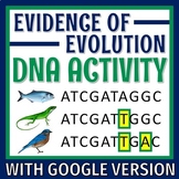 Molecular DNA Evidence of Evolution Activity
