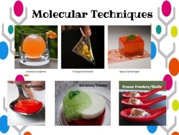 Preview of Molecular Gastronomy/Modernist Food - Intro. Notes, Recipes, & Project