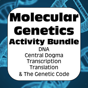 Preview of Molecular Genetics: DNA, Central Dogma, Transcription & Translation High School