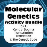 Molecular Genetics: DNA, Central Dogma, Transcription & Tr