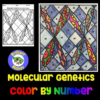 Preview of Molecular Genetics: DNA and RNA Color By Number