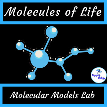 28 Molecules Of Life Worksheet - Worksheet Information