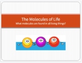 Molecules of Life Presentation